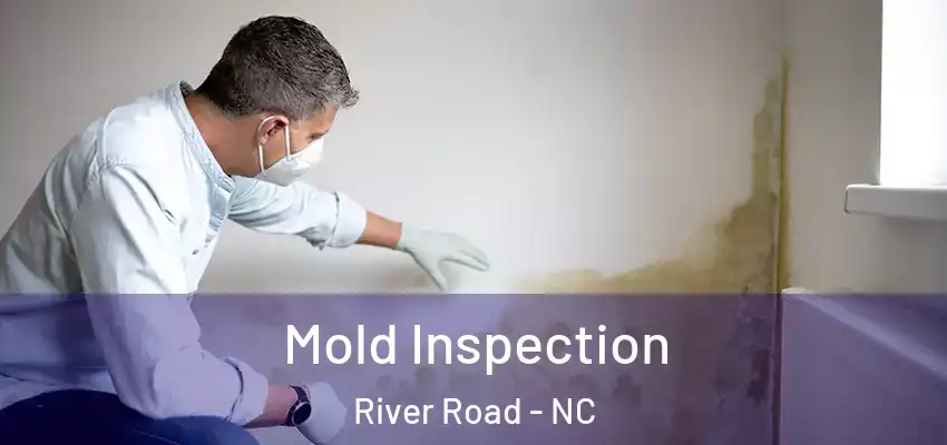 Mold Inspection River Road - NC