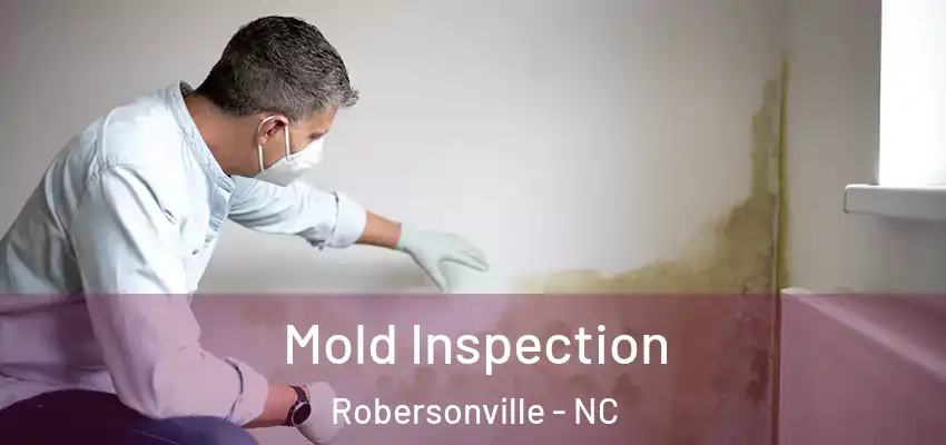  Mold Inspection Robersonville - NC
