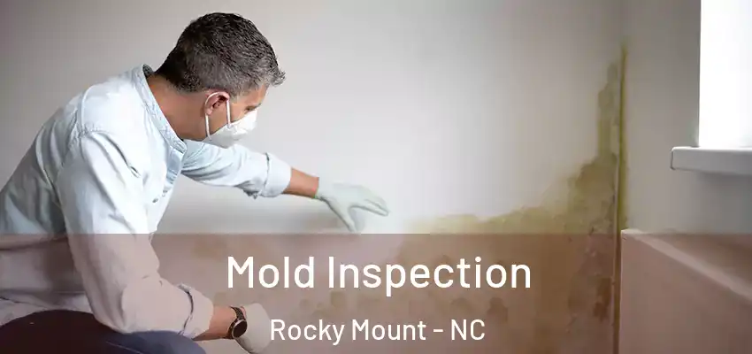 Mold Inspection Rocky Mount - NC