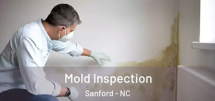 Mold Inspection Sanford - NC