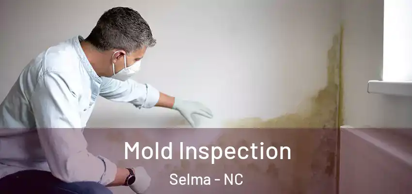 Mold Inspection Selma - NC