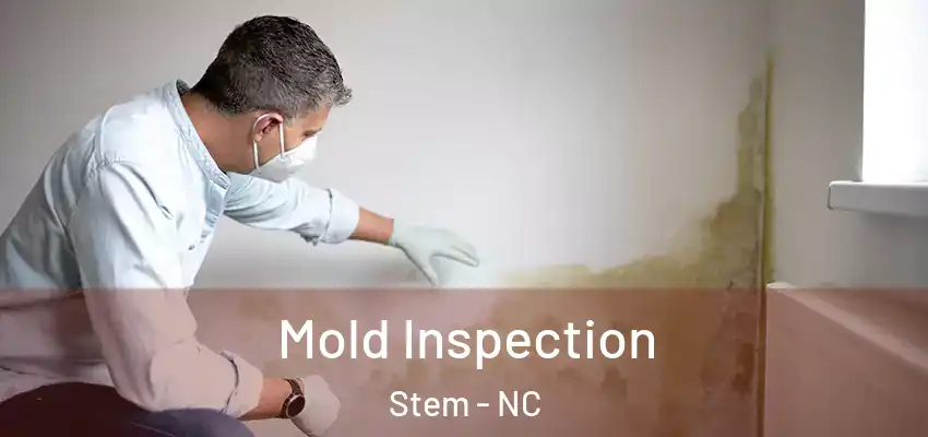  Mold Inspection Stem - NC