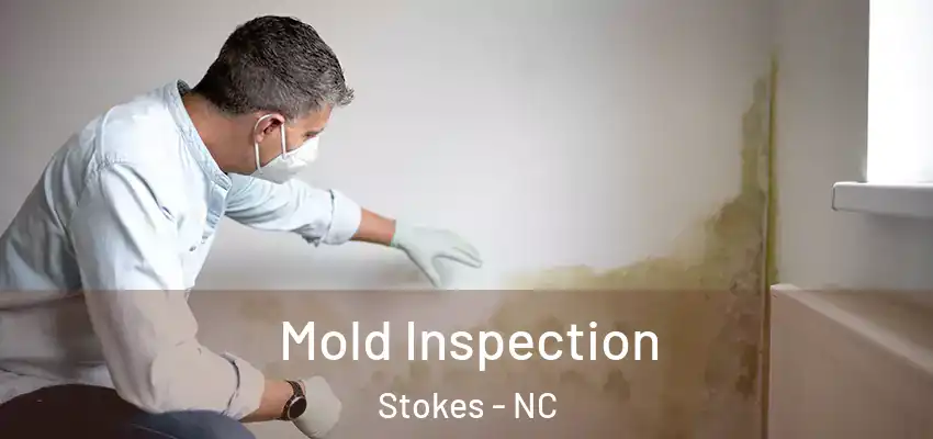 Mold Inspection Stokes - NC