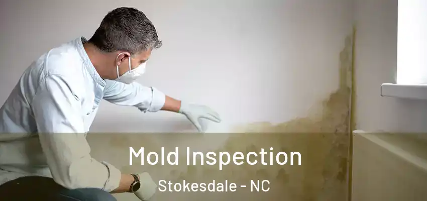 Mold Inspection Stokesdale - NC