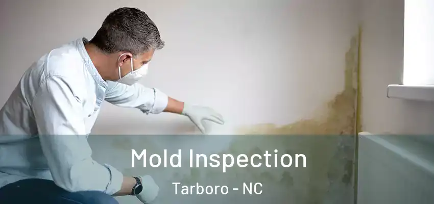  Mold Inspection Tarboro - NC