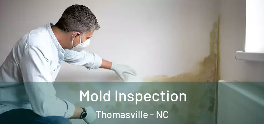  Mold Inspection Thomasville - NC