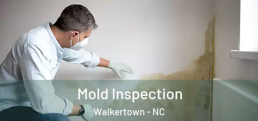  Mold Inspection Walkertown - NC
