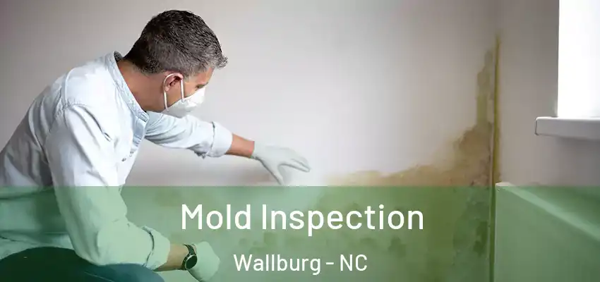 Mold Inspection Wallburg - NC