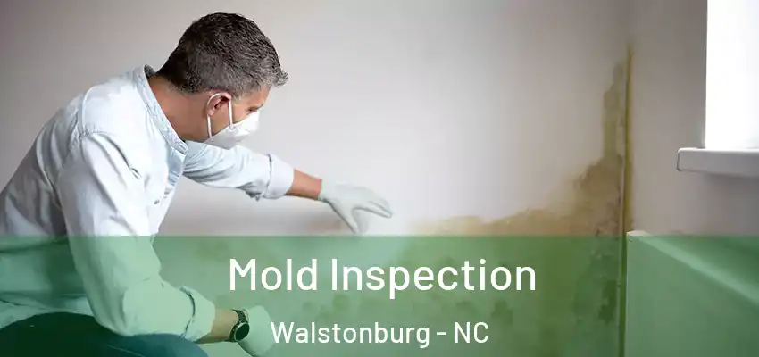 Mold Inspection Walstonburg - NC