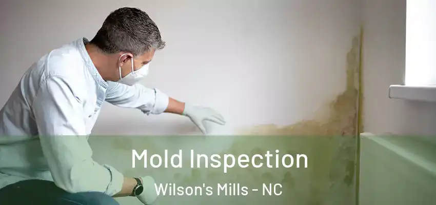 Mold Inspection Wilson's Mills - NC