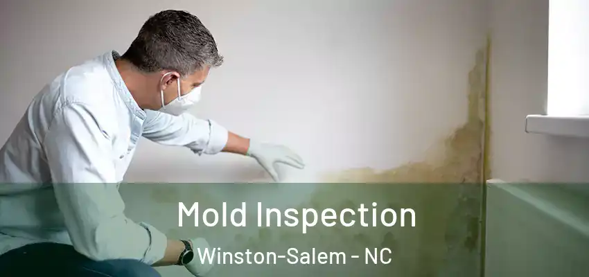  Mold Inspection Winston-Salem - NC