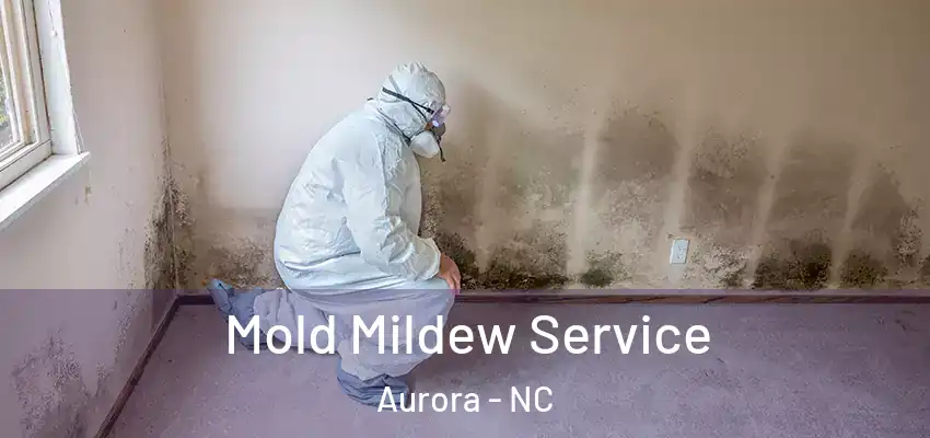  Mold Mildew Service Aurora - NC