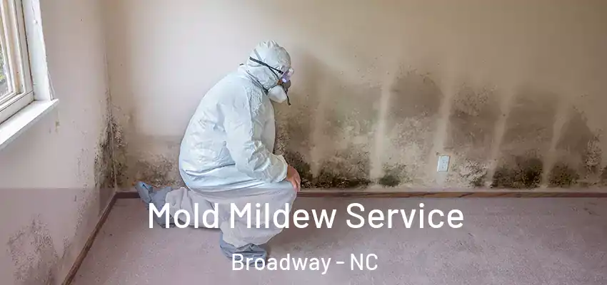 Mold Mildew Service Broadway - NC
