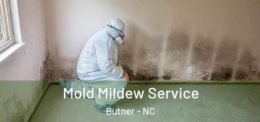  Mold Mildew Service Butner - NC