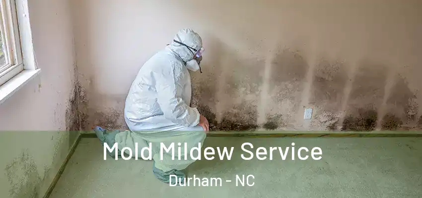 Mold Mildew Service Durham - NC