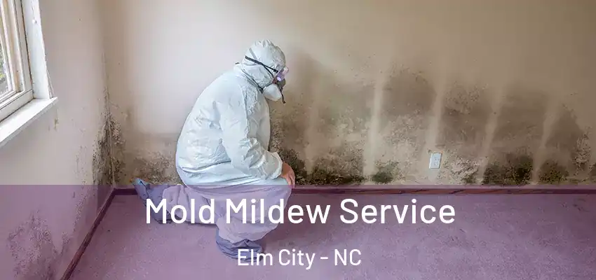  Mold Mildew Service Elm City - NC