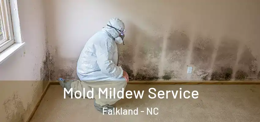  Mold Mildew Service Falkland - NC