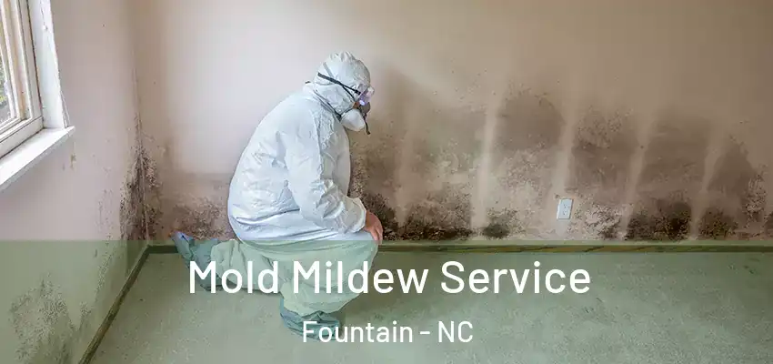 Mold Mildew Service Fountain - NC
