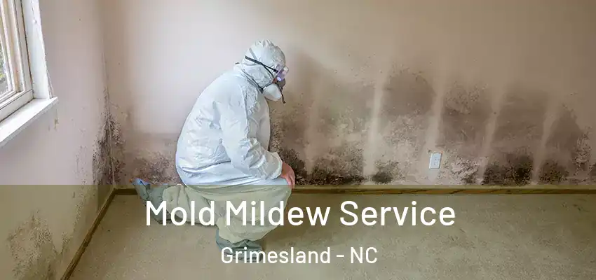  Mold Mildew Service Grimesland - NC