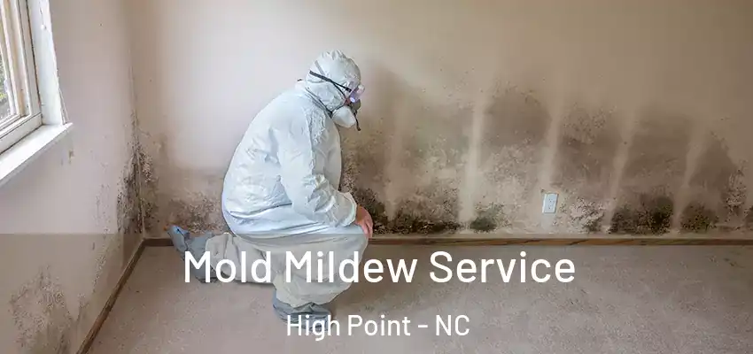  Mold Mildew Service High Point - NC