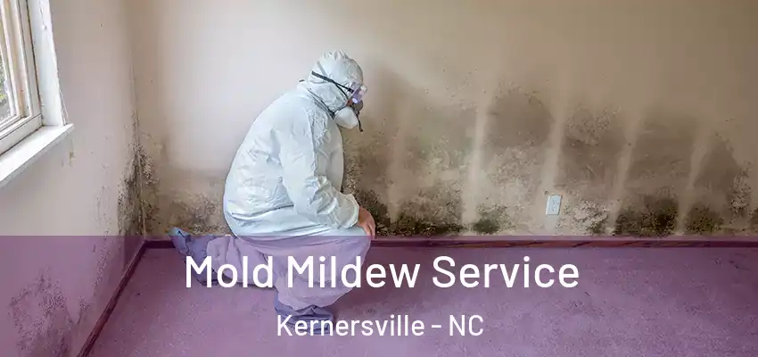 Mold Mildew Service Kernersville - NC