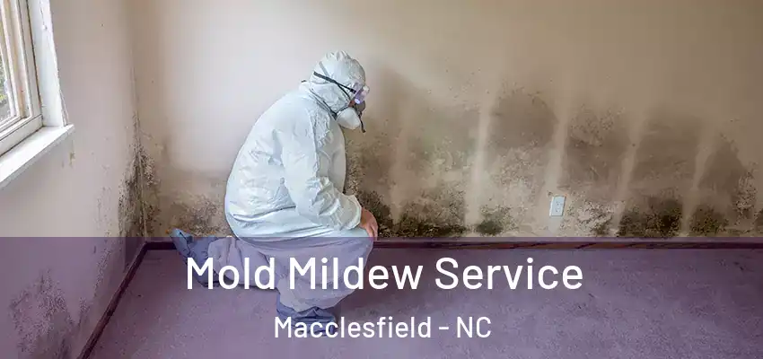  Mold Mildew Service Macclesfield - NC