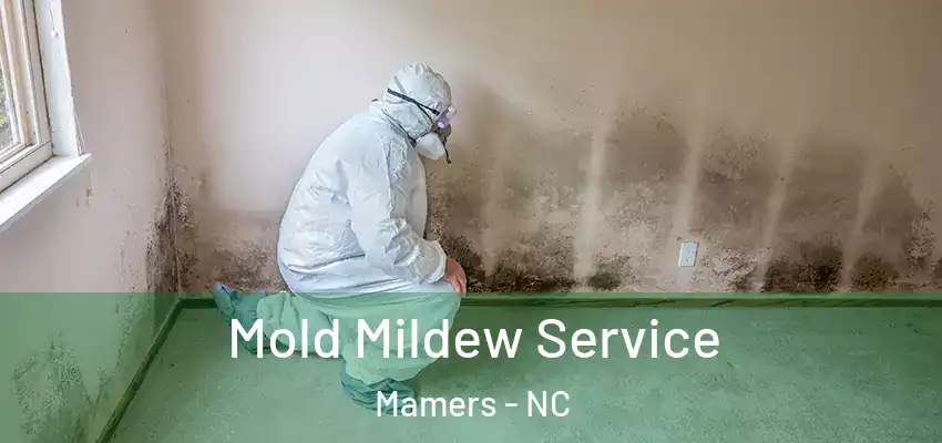  Mold Mildew Service Mamers - NC