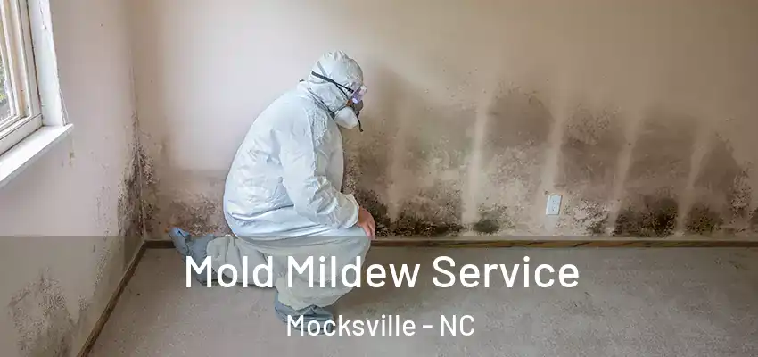  Mold Mildew Service Mocksville - NC
