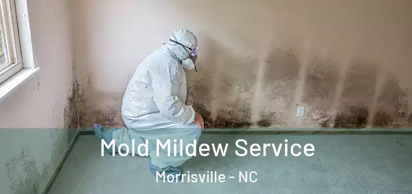 Mold Mildew Service Morrisville - NC
