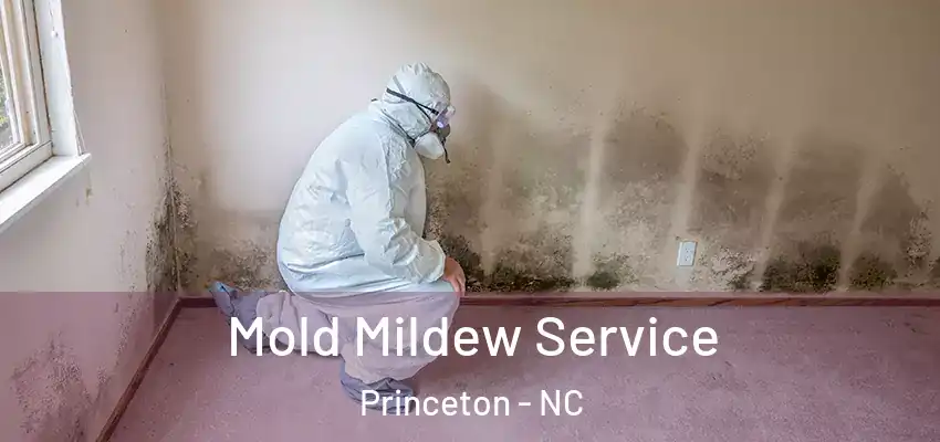  Mold Mildew Service Princeton - NC