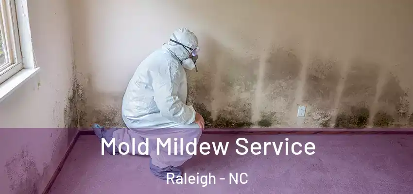 Mold Mildew Service Raleigh - NC