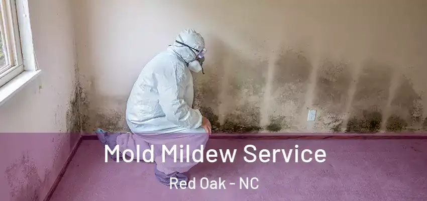 Mold Mildew Service Red Oak - NC