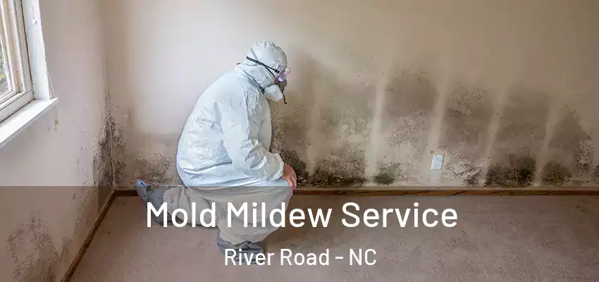  Mold Mildew Service River Road - NC