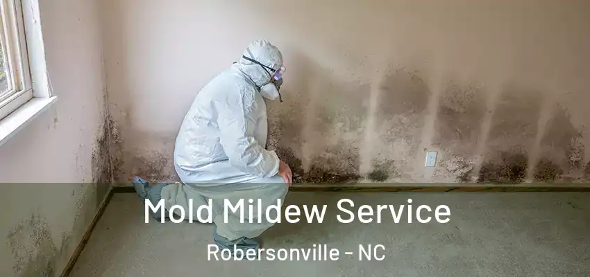 Mold Mildew Service Robersonville - NC
