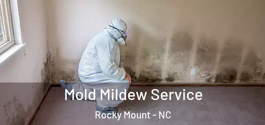 Mold Mildew Service Rocky Mount - NC