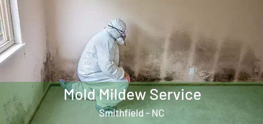 Mold Mildew Service Smithfield - NC