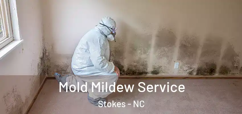 Mold Mildew Service Stokes - NC