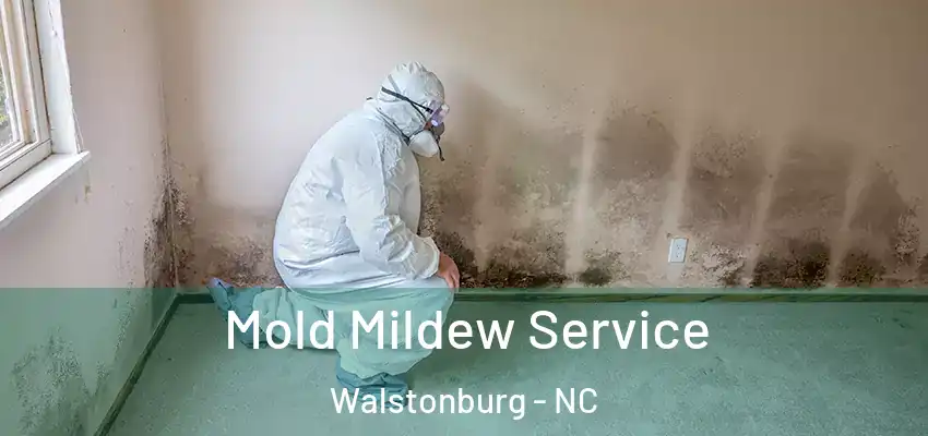  Mold Mildew Service Walstonburg - NC