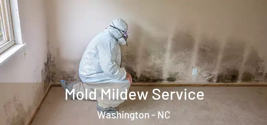 Mold Mildew Service Washington - NC