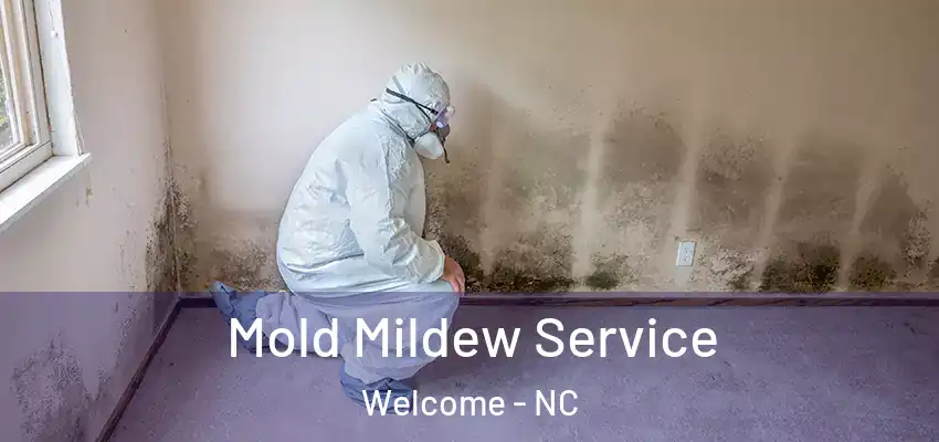  Mold Mildew Service Welcome - NC