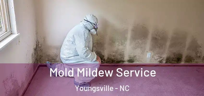  Mold Mildew Service Youngsville - NC