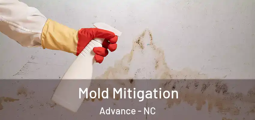  Mold Mitigation Advance - NC