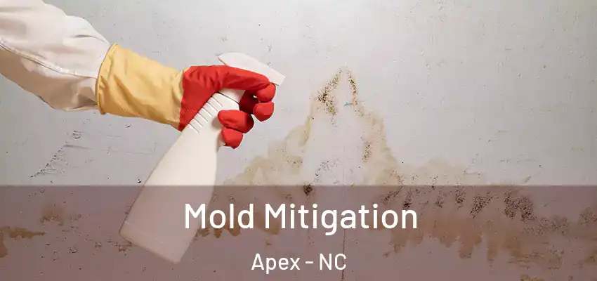  Mold Mitigation Apex - NC