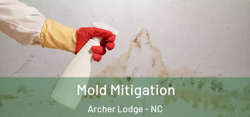  Mold Mitigation Archer Lodge - NC