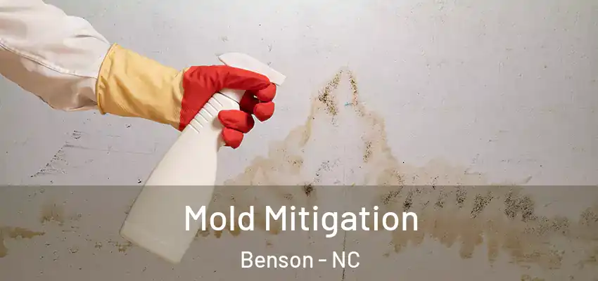  Mold Mitigation Benson - NC