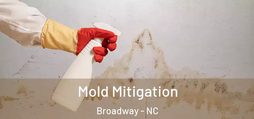  Mold Mitigation Broadway - NC