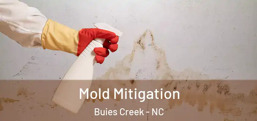 Mold Mitigation Buies Creek - NC