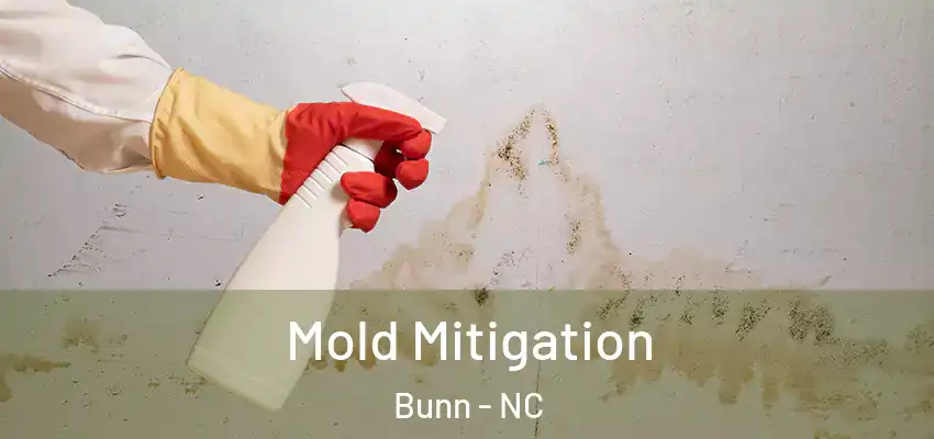  Mold Mitigation Bunn - NC