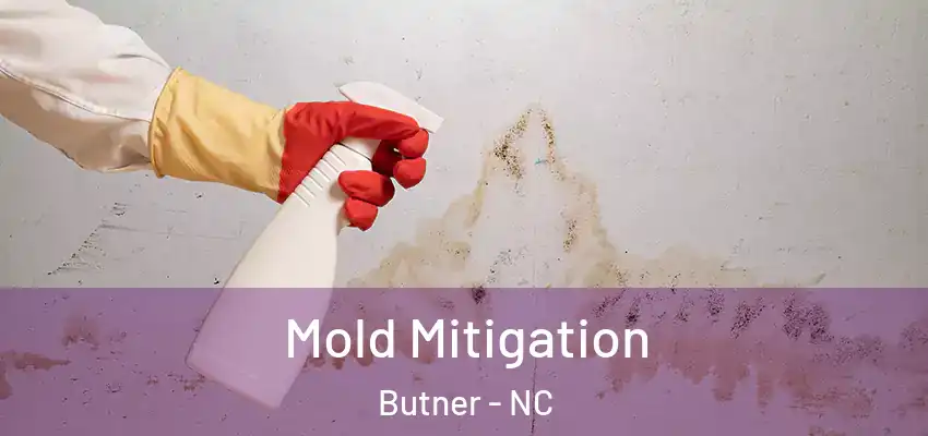  Mold Mitigation Butner - NC