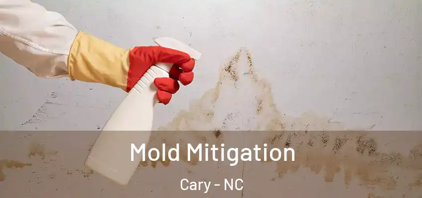  Mold Mitigation Cary - NC